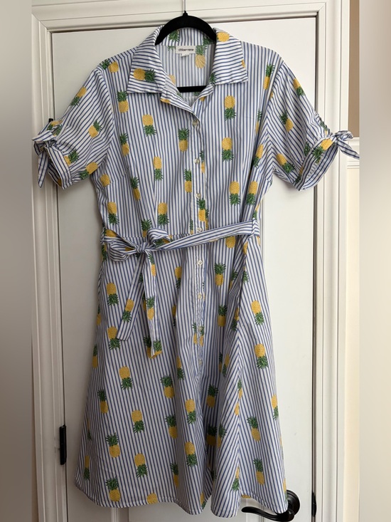 Chloe + Rene Dresses & Skirts - Striped Cotton Pineapple Button Up Shirt Dress Retro Summer Preppy Kitchy Sz L